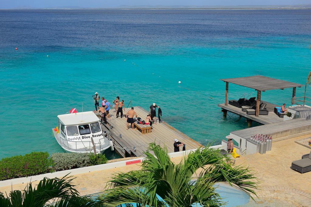 Belmar Oceanfront Apartments Bonaire Exterior photo