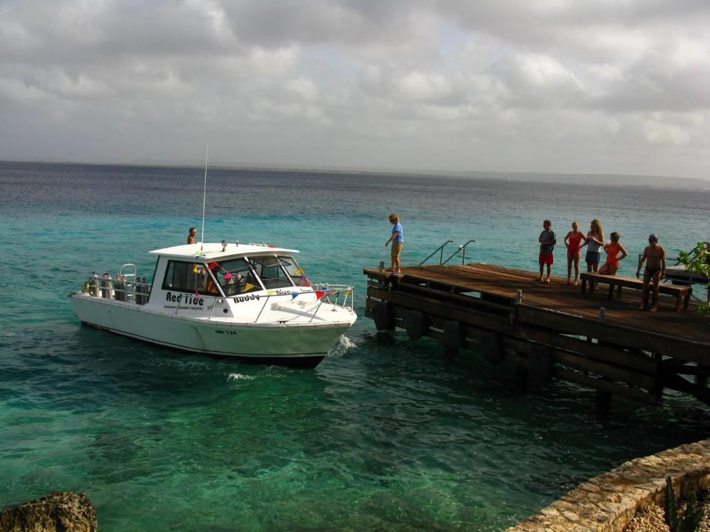 Belmar Oceanfront Apartments Bonaire Exterior photo