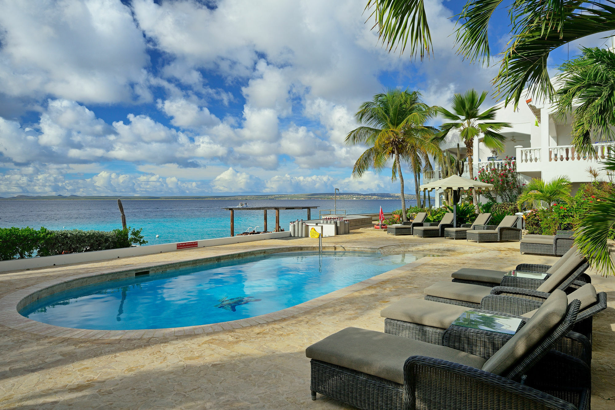 Belmar Oceanfront Apartments Bonaire Exterior photo
